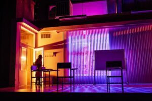 Roxanna Hope Radja in English at Goodman Theatre