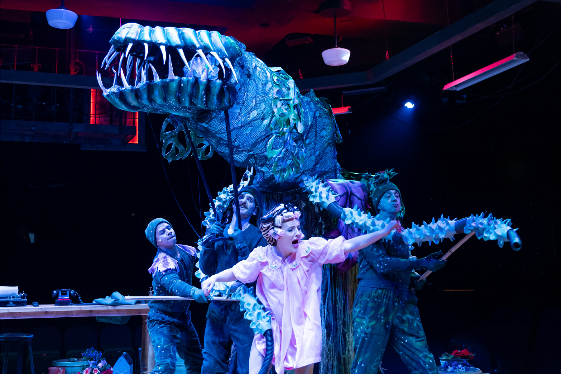 Jordan Anthony Arredondo, Garrett Lutz, Maya Rowe, and Ed Kross in 'Little Shop Of Horrors' at Marriott Theatre - Photo Credit: Justin Barbin